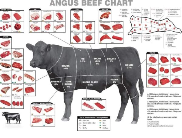 Beef Test - Image 3
